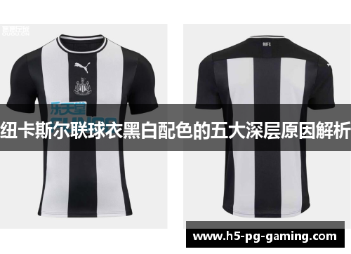 纽卡斯尔联球衣黑白配色的五大深层原因解析