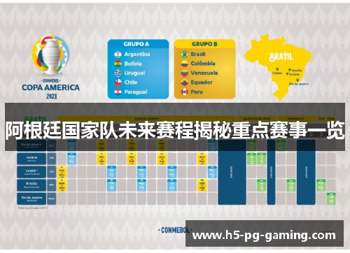 阿根廷国家队未来赛程揭秘重点赛事一览