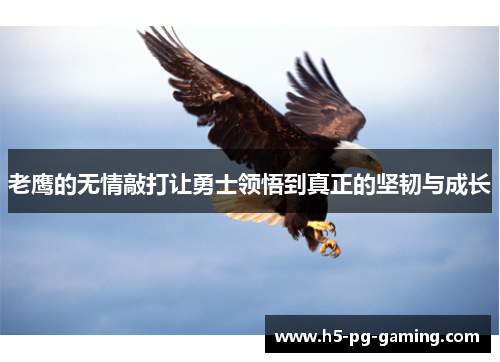 老鹰的无情敲打让勇士领悟到真正的坚韧与成长 老鹰的无情敲打让勇士领悟到真正的坚韧与成长