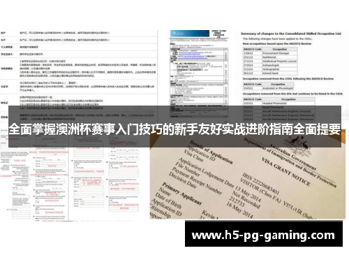 全面掌握澳洲杯赛事入门技巧的新手友好实战进阶指南全面提要