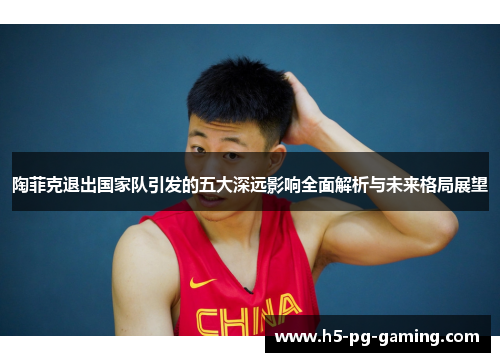 陶菲克退出国家队引发的五大深远影响全面解析与未来格局展望