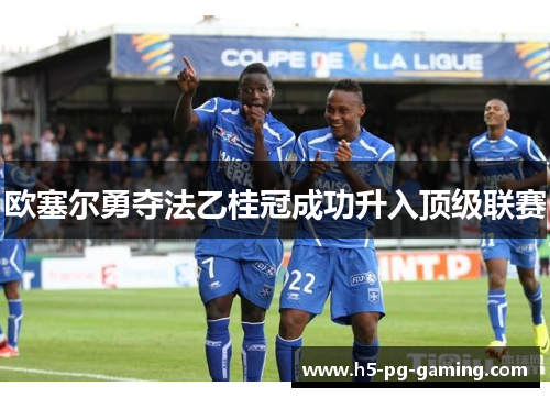 欧塞尔勇夺法乙桂冠成功升入顶级联赛