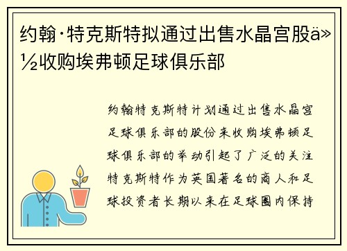 约翰·特克斯特拟通过出售水晶宫股份收购埃弗顿足球俱乐部