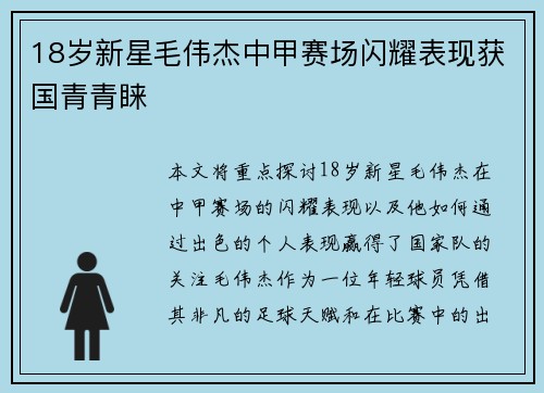 18岁新星毛伟杰中甲赛场闪耀表现获国青青睐