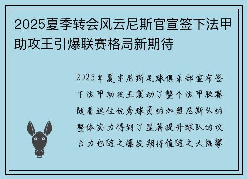 2025夏季转会风云尼斯官宣签下法甲助攻王引爆联赛格局新期待 2025夏季转会风云尼斯官宣签下法甲助攻王引爆联赛格局新期待