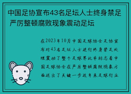中国足协宣布43名足坛人士终身禁足 严厉整顿腐败现象震动足坛 中国足协宣布43名足坛人士终身禁足 严厉整顿腐败现象震动足坛